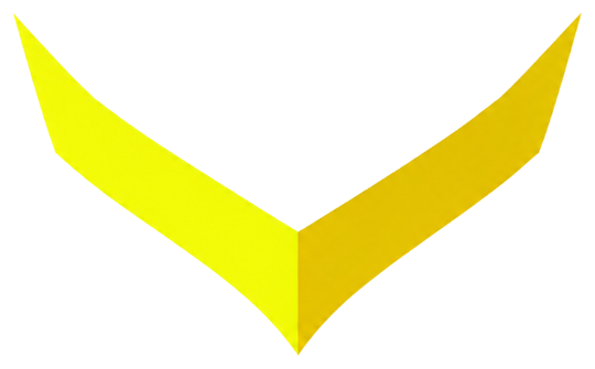 Falcon Agrifriz Foods